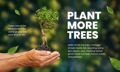 Plant more trees