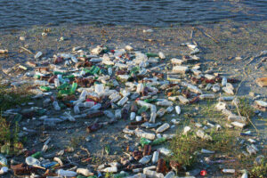 Plastic Pollution